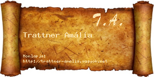 Trattner Amália névjegykártya